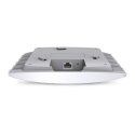 EAP110 Access Point N300 2.4 GHz PoE