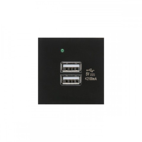 Gniazdo USB x2 z ładowarką pasuje do szklanych ramek MCE728B Czarne
