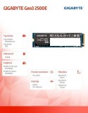 Dysk SSD 2500E NVMe Gen3 500GB M.2 2280 2300/1500MB/s